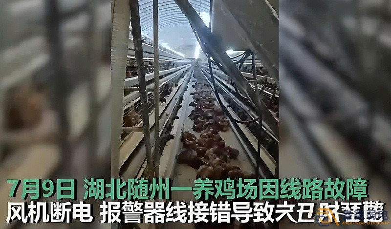 養(yǎng)雞場為什么要24h監(jiān)測溫濕度斷電報警器？